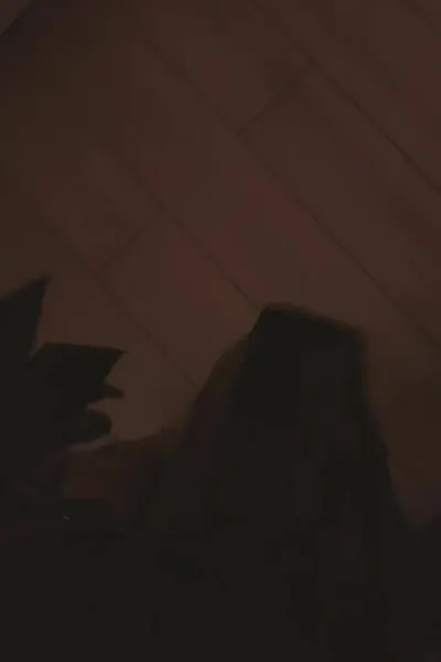 Fatima video